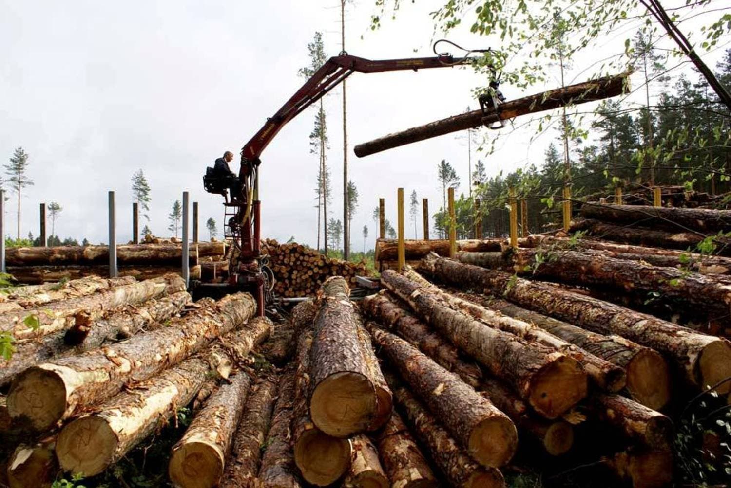 Заготовка леса. Способы добычи леса. Вырубка лесов. Лесозаготовка круглый лес. Лесное хозяйство швеции.