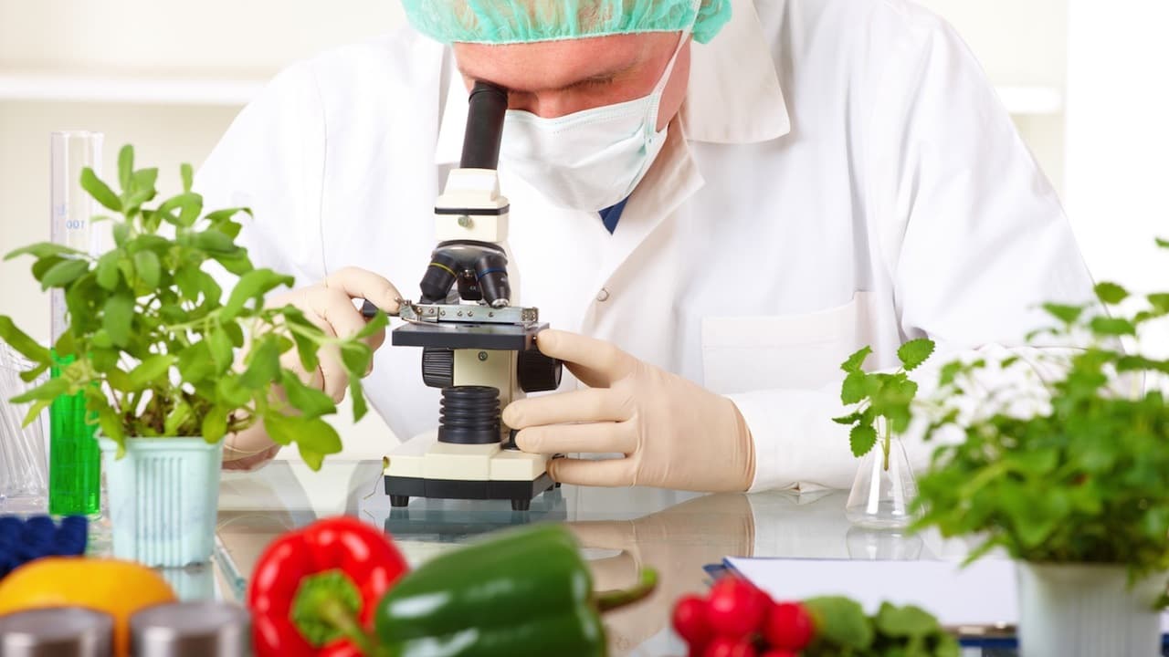 food technology food product development food technology food product development